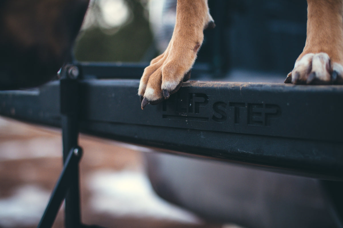 The Flip Step After Market Truck Bed Step Makes Getting Your Dog In and Out of Your Vehicle a Breeze